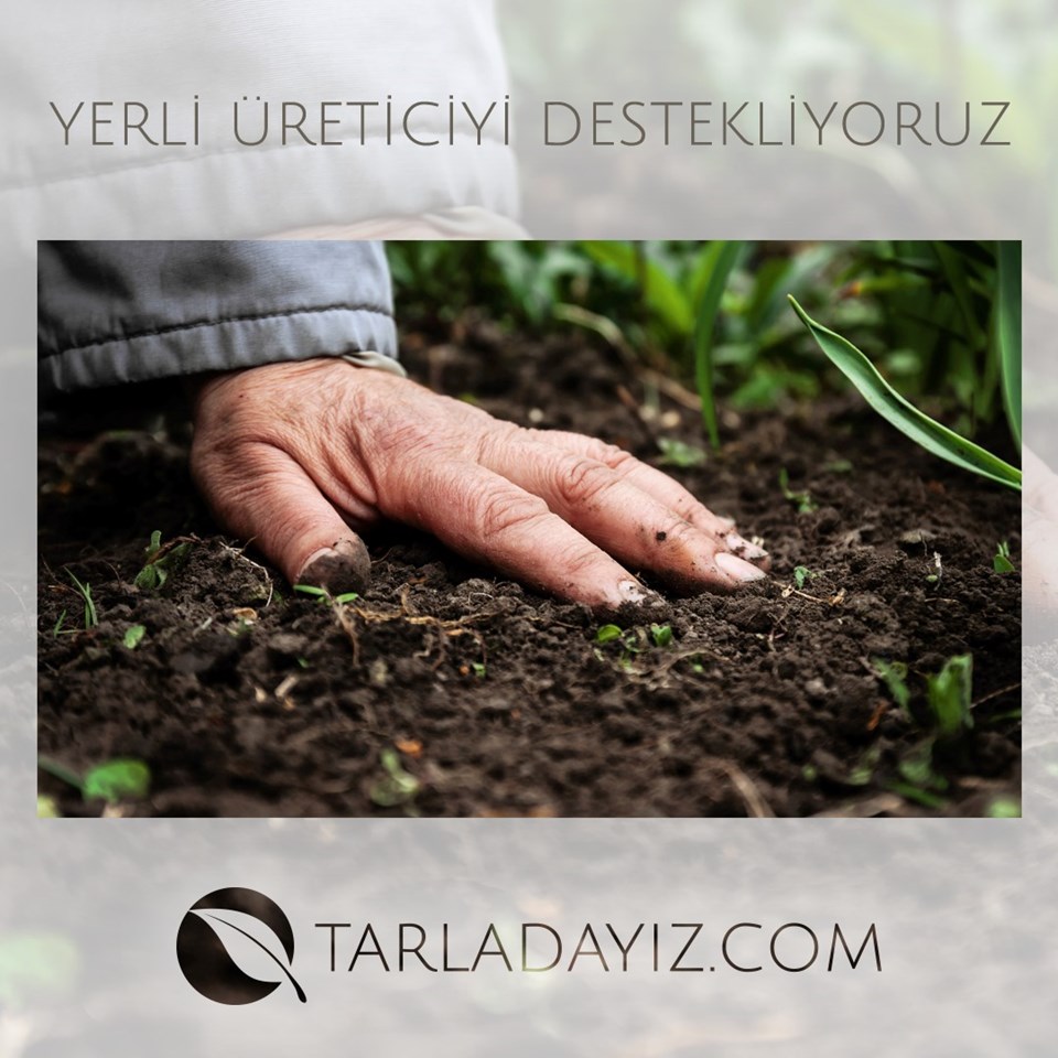 Sürdürülebilir tarımı destekleyen online pazaryeri: Tarladayız.com - 1