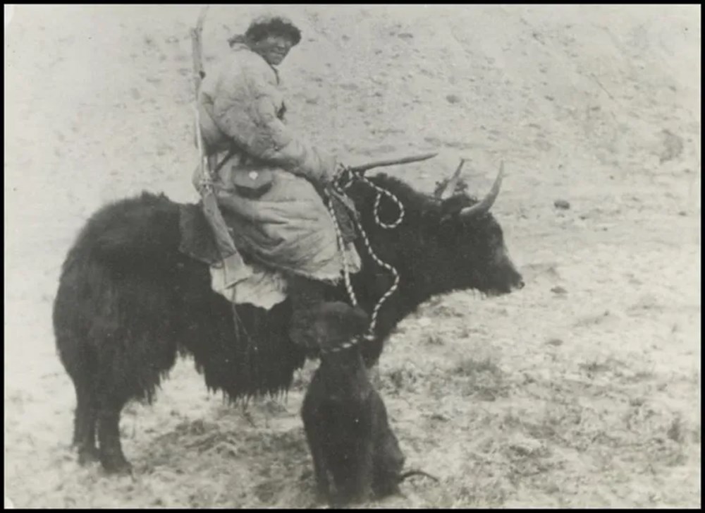 Bilim kurgu değil Türk boylarının 111 yıllık fotoğrafları. Gizemli heykeller, gelişmiş aletler, tanıdık kıyafetler (106 fotoğrafla gizemli Türk tarihi) - 67