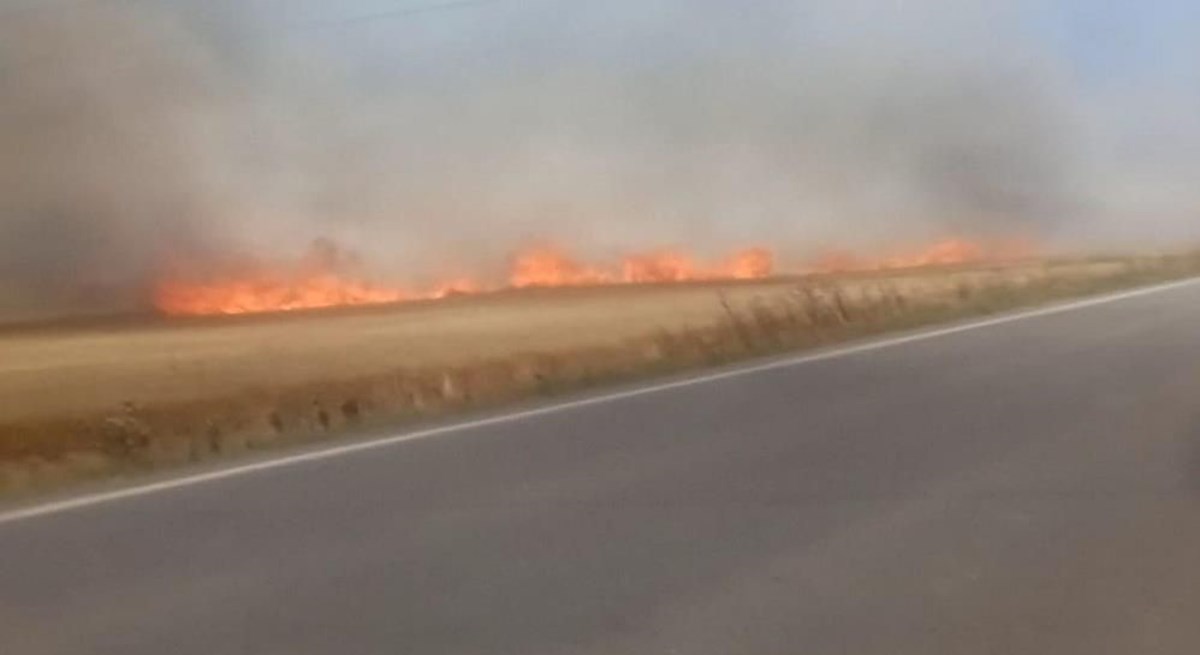 Tekirdağ’da buğday tarlasında yangın: 3 yaralı