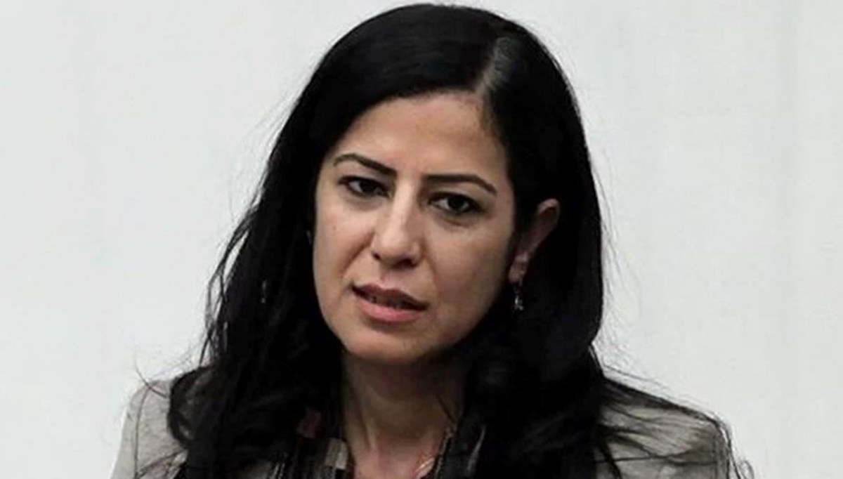 Ayla Akat Ata kimdir? (Ayla Akat Ata'nın özgeçmişi) Ayla Akat Ata kimdir? (Ayla Akat Ata'nın özgeçmişi)