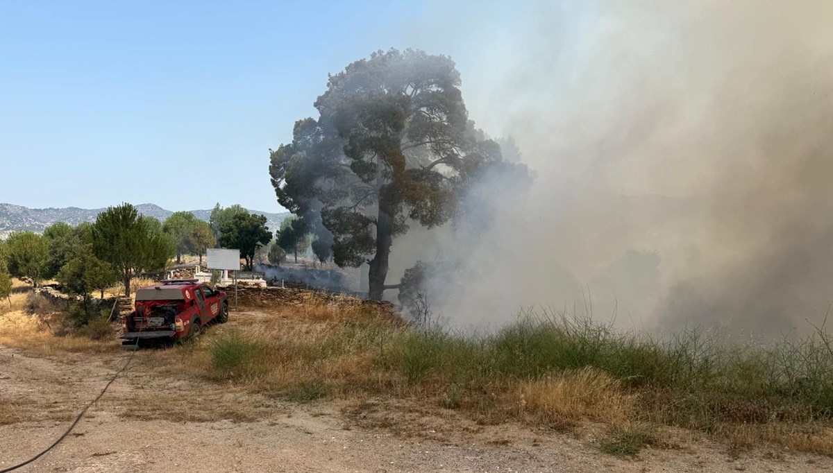 Muğla'da orman yangını