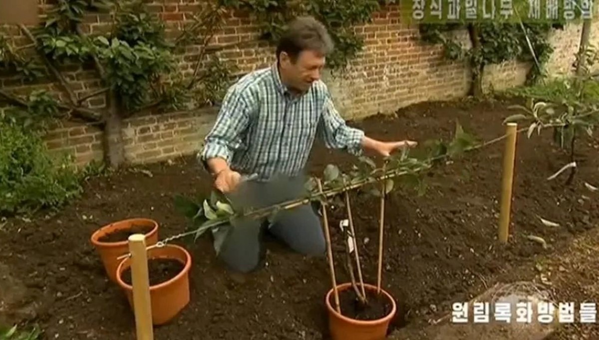 Kuzey Kore televizyonundan kot pantolona sansür Kuzey Kore televizyonundan kot pantolona sansür