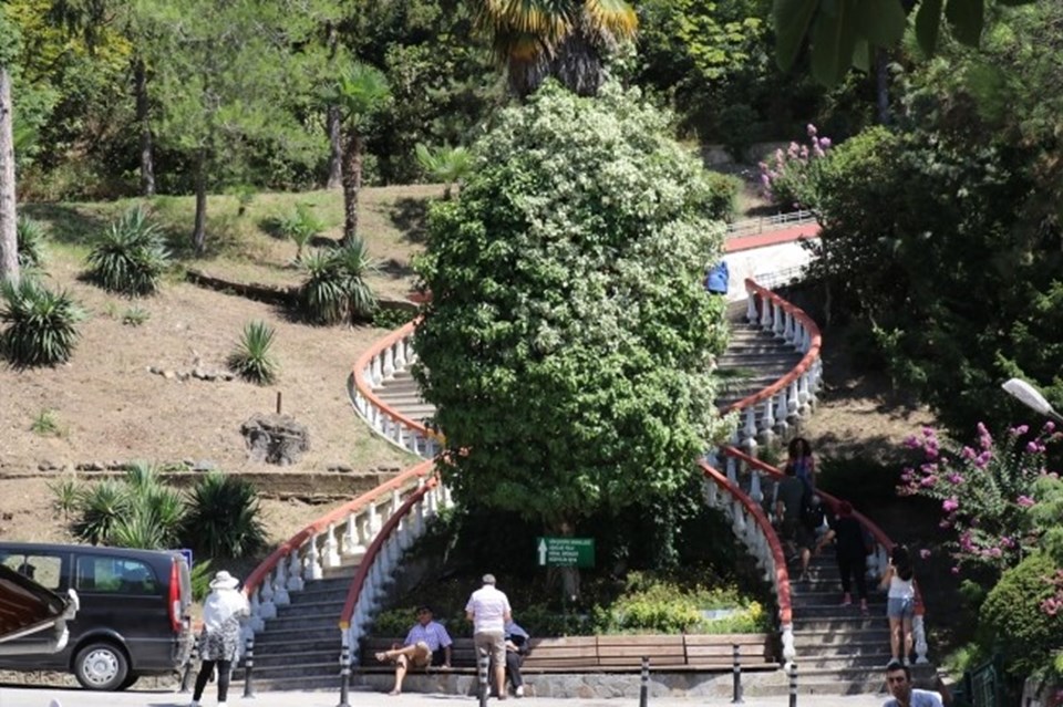 Türkiye'nin ilk arboretumu 'Atatürk Arboretumu' 89 yaşında - 1
