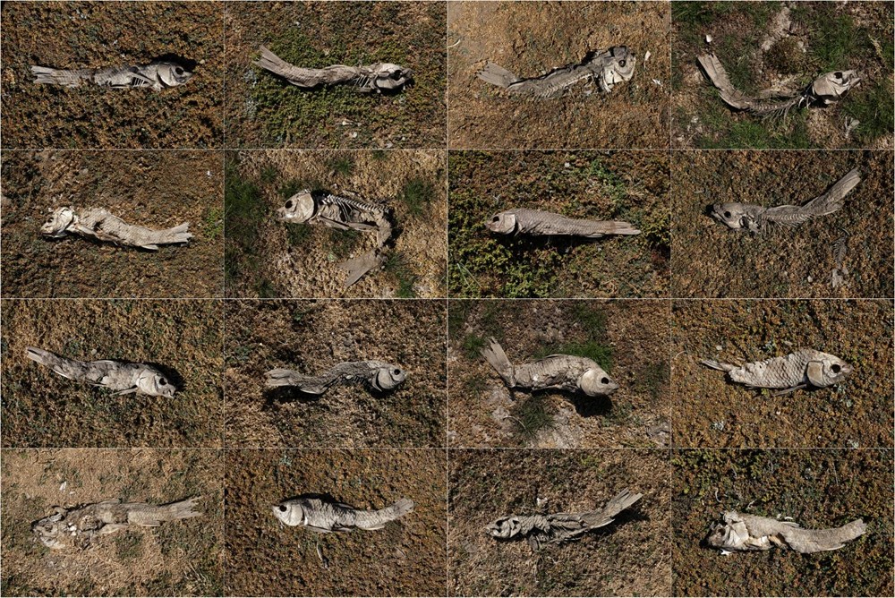 Aşırı kuraklık Şili’deki devasa gölü çöle çevirdi: Küresel ısınmanın ölümcüllüğünü gözler önüne seren fotoğraflar - 6