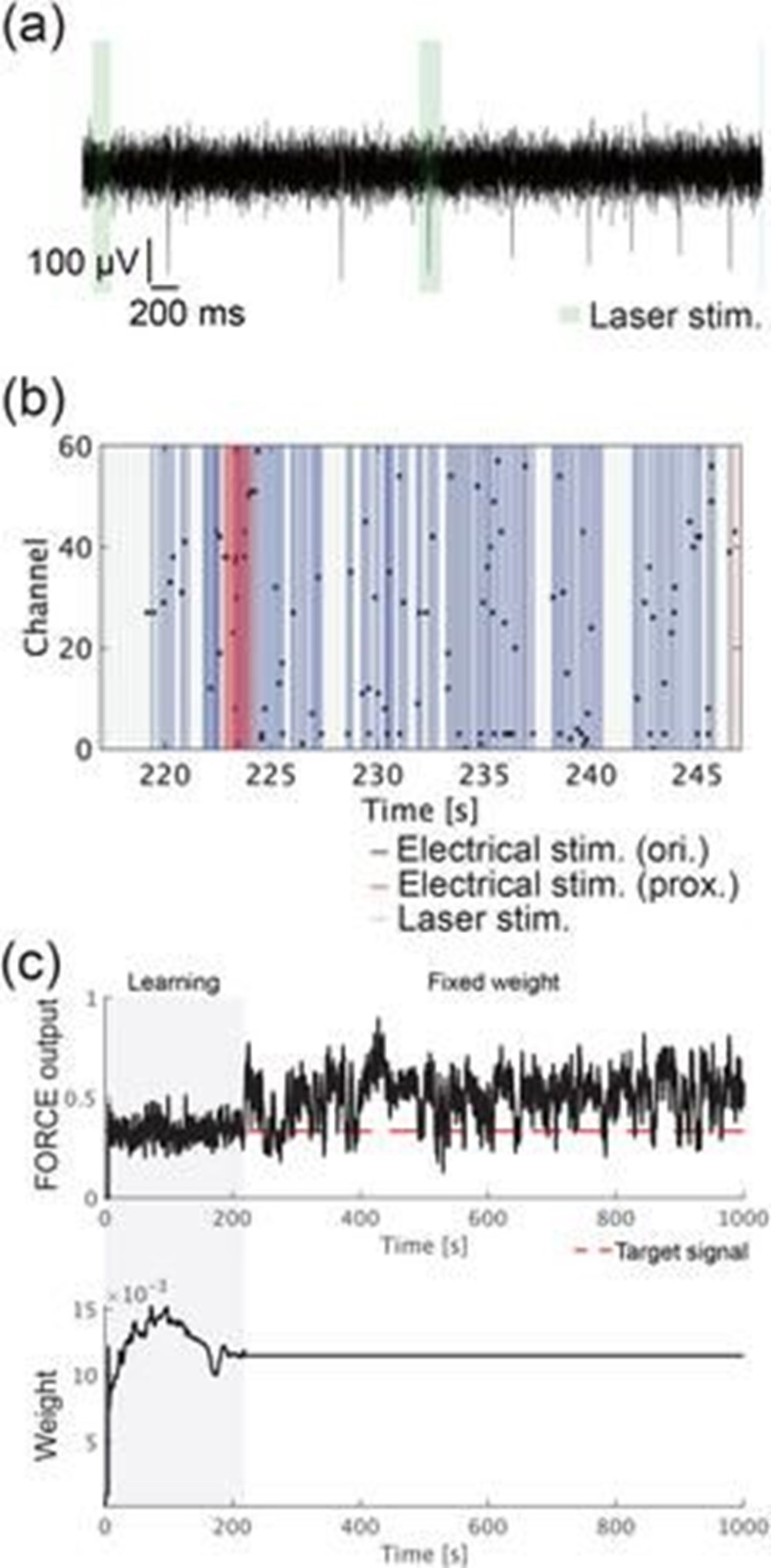 Japon bilim insanları dünyanın ilk düşünen robotunu geliştirdi: Kendi iradesine sahip makineler çağı başlıyor - 5
