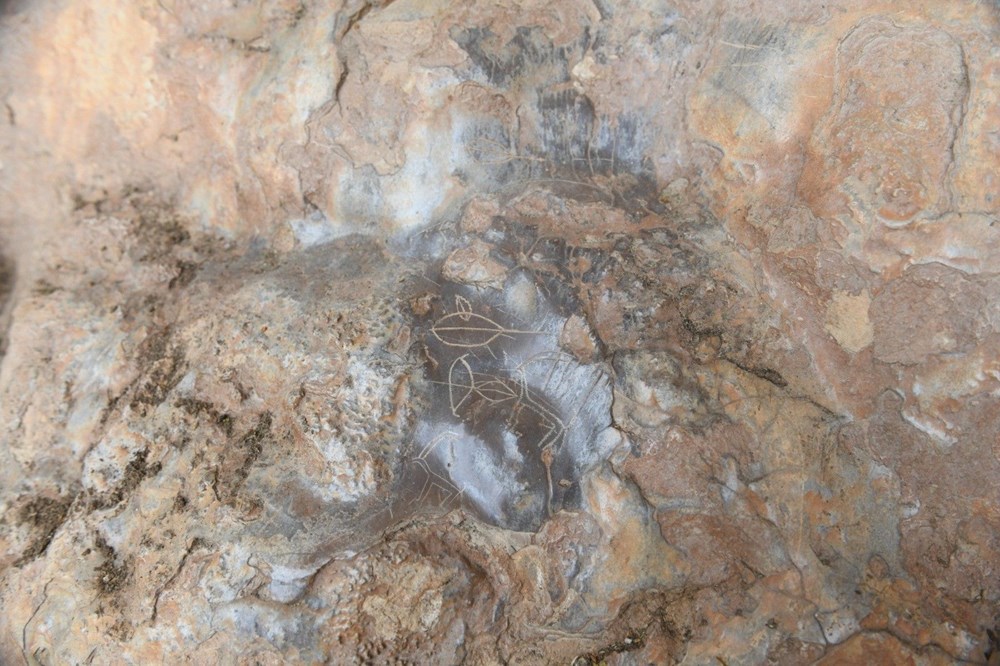 Mersin’de bir mağarada bulunan 8 bin yıllık kaya resimleri koruma altına alınıyor - 3