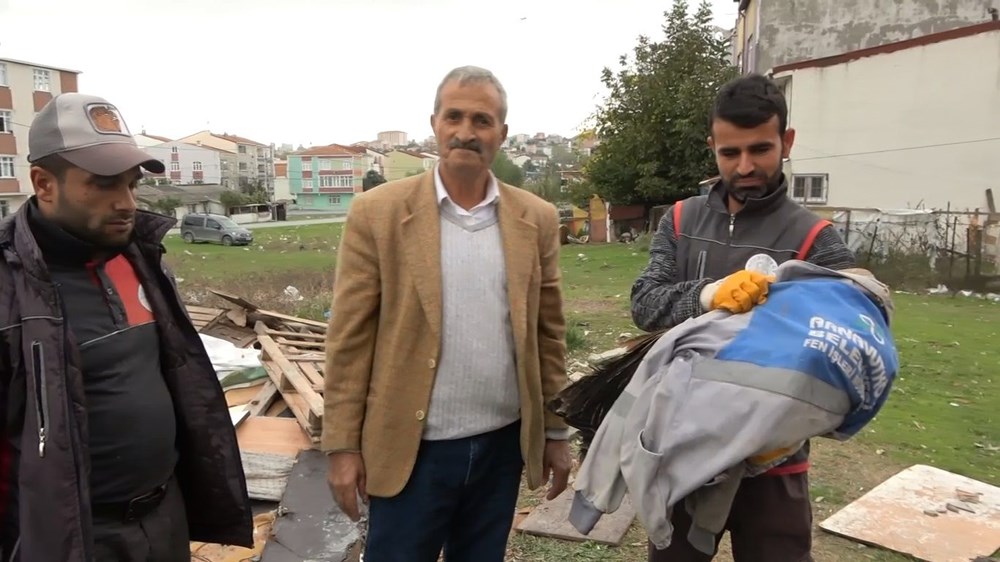 Yorgun düşen akbaba İstanbul'a indi - 6
