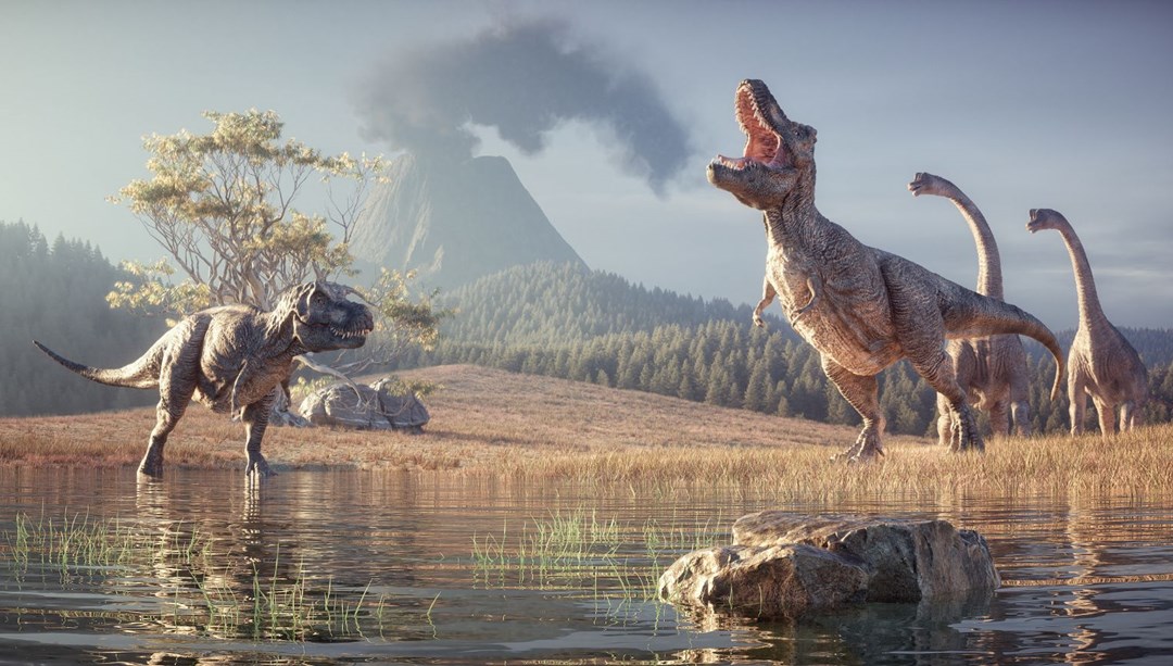 Dinozorların şaşırtıcı evrimi ortaya çıktı: Büyüdükçe küçülmüş