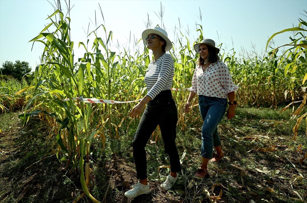 T�rkiye'nin ilk 'm�s�r labirenti'