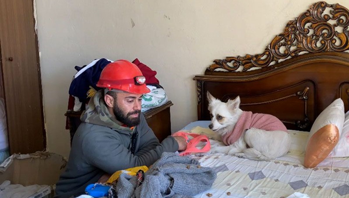 Ağır hasarlı binalara girerek evcil hayvanları sahiplerine teslim ediyor Ağır hasarlı binalara girerek evcil hayvanları sahiplerine teslim ediyor