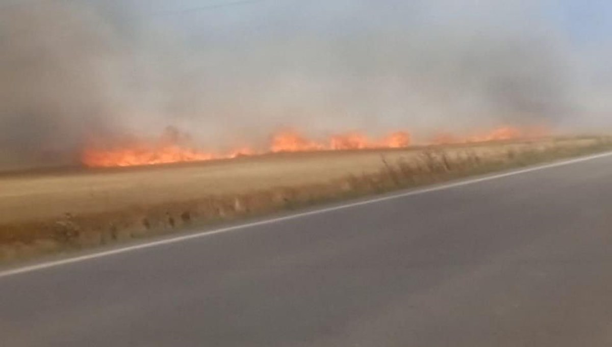 Tekirdağ’da buğday tarlasında yangın: 3 yaralı