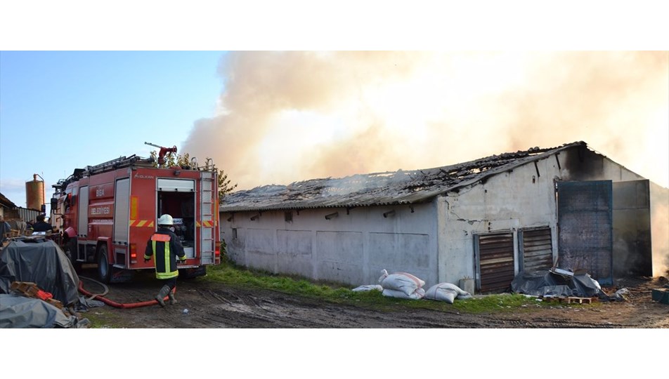 Çanakkale'de abajur fabrikasında yangın