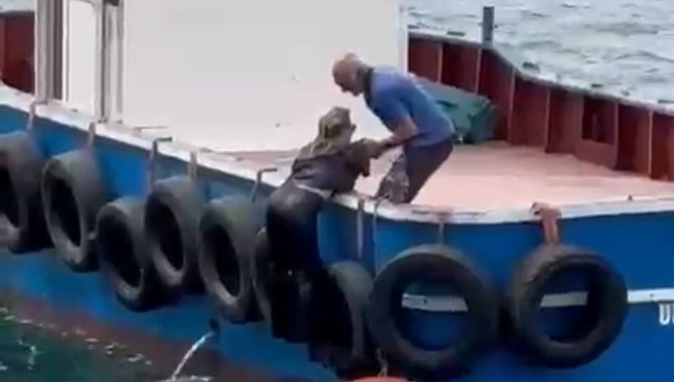 Vapurdan düşen kadını balıkçılar kurtardı
