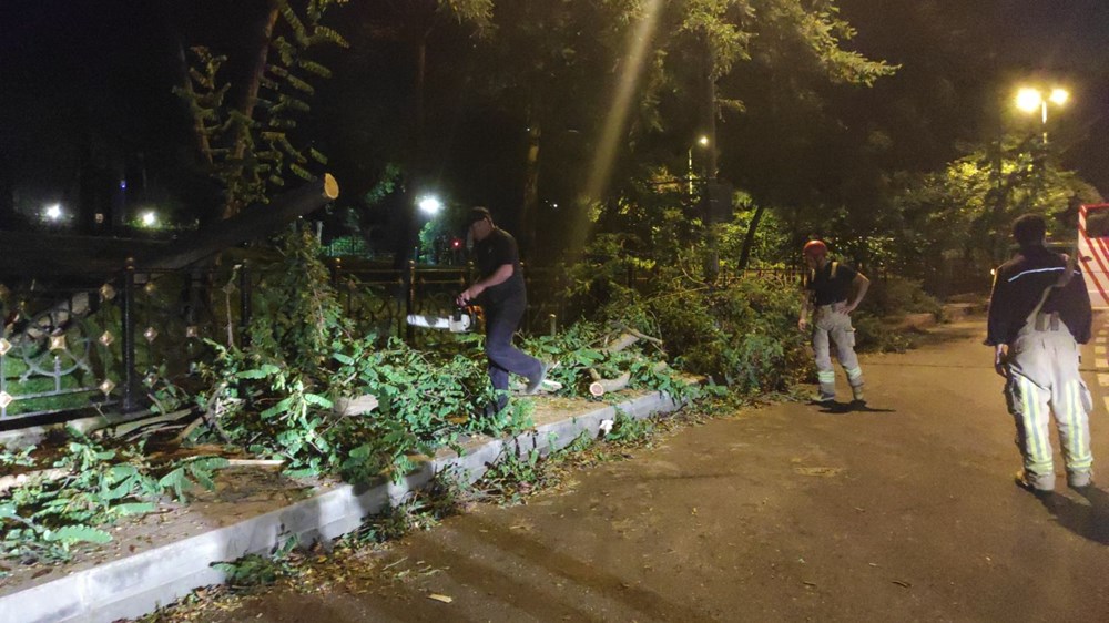 Üsküdar'da ağaç yola devrildi - 1