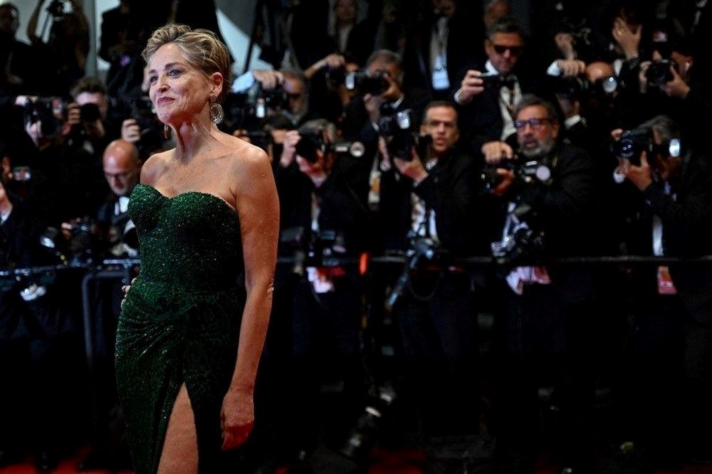 Sharon Stone'dan Kurtlar Vadisi itirafı: Çok iyi para verdiler ama kimse İngilizce bilmiyordu - 5