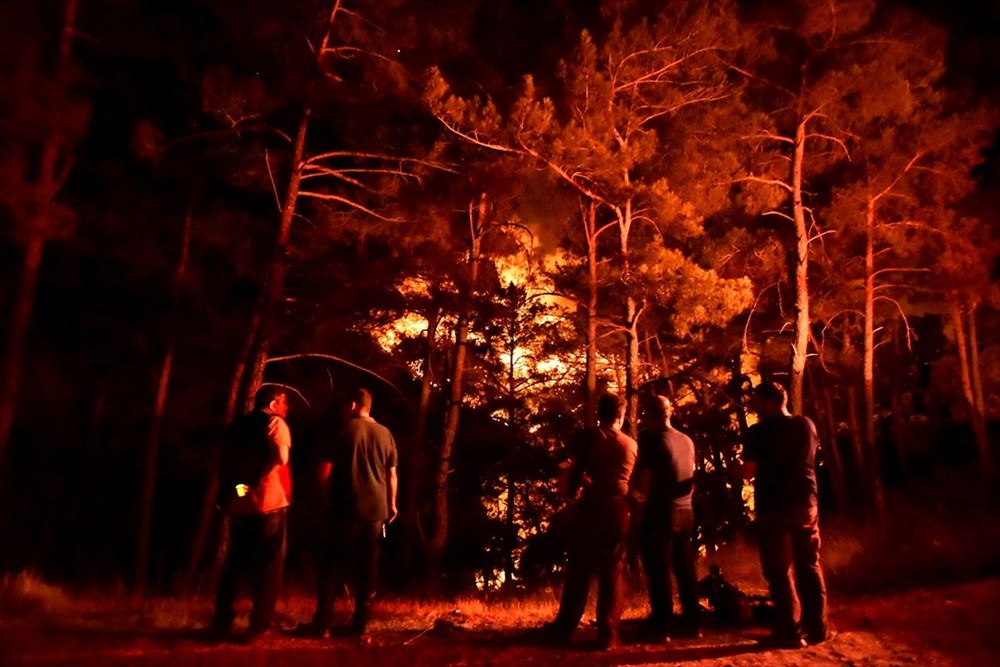 Hatay ve Mersin'de orman yangını - 27