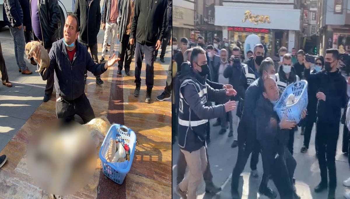 Tüfekle öldürülen anne köpek ve yavrularıyla eylem yaptı