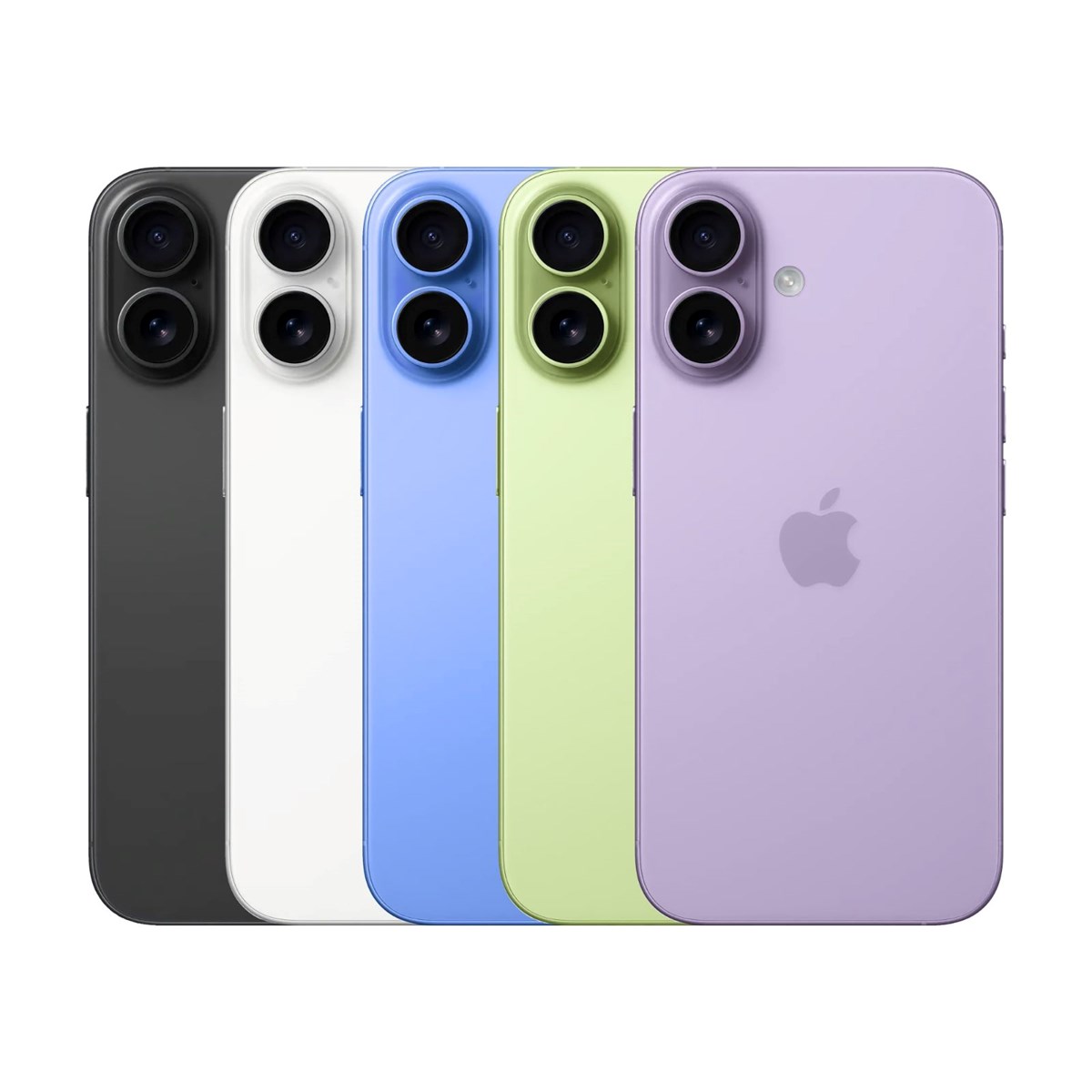 BihCsyF6XUiOh8-GitEd3g.jpg