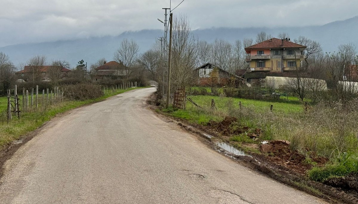 Bartın'da şap hastalığı nedeniyle 12 köy karantinaya alındı