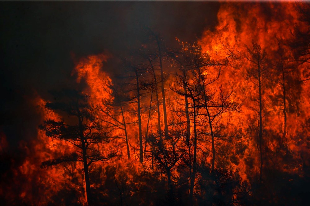 Marmaris'te orman yangını: Müdahale devam ediyor - 1