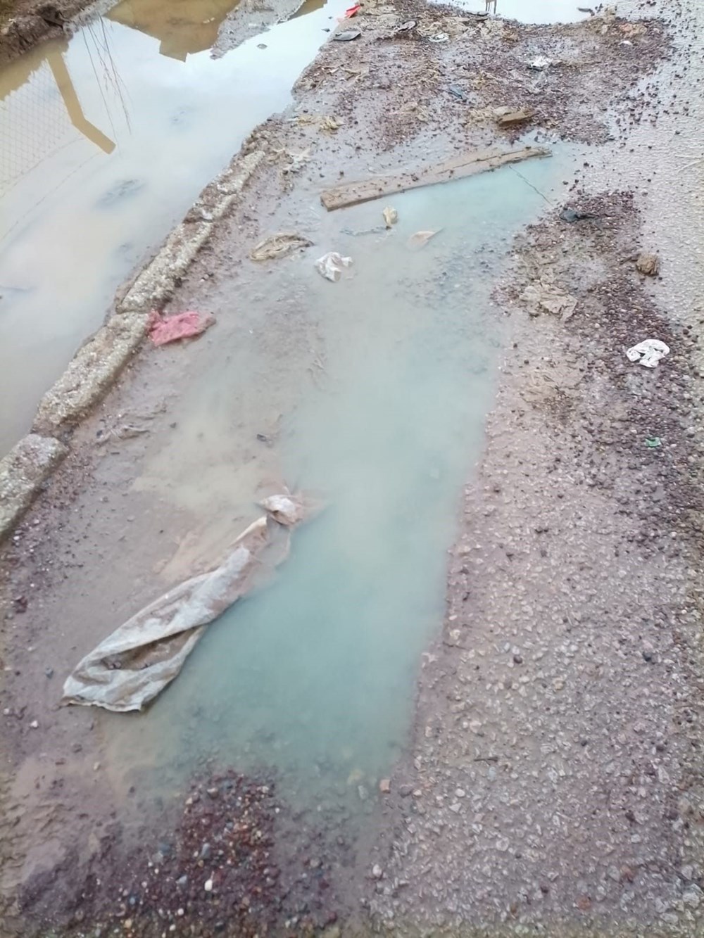Yalova'da rögardan mavi renkli su taştı: İnceleme başlatıldı - 5