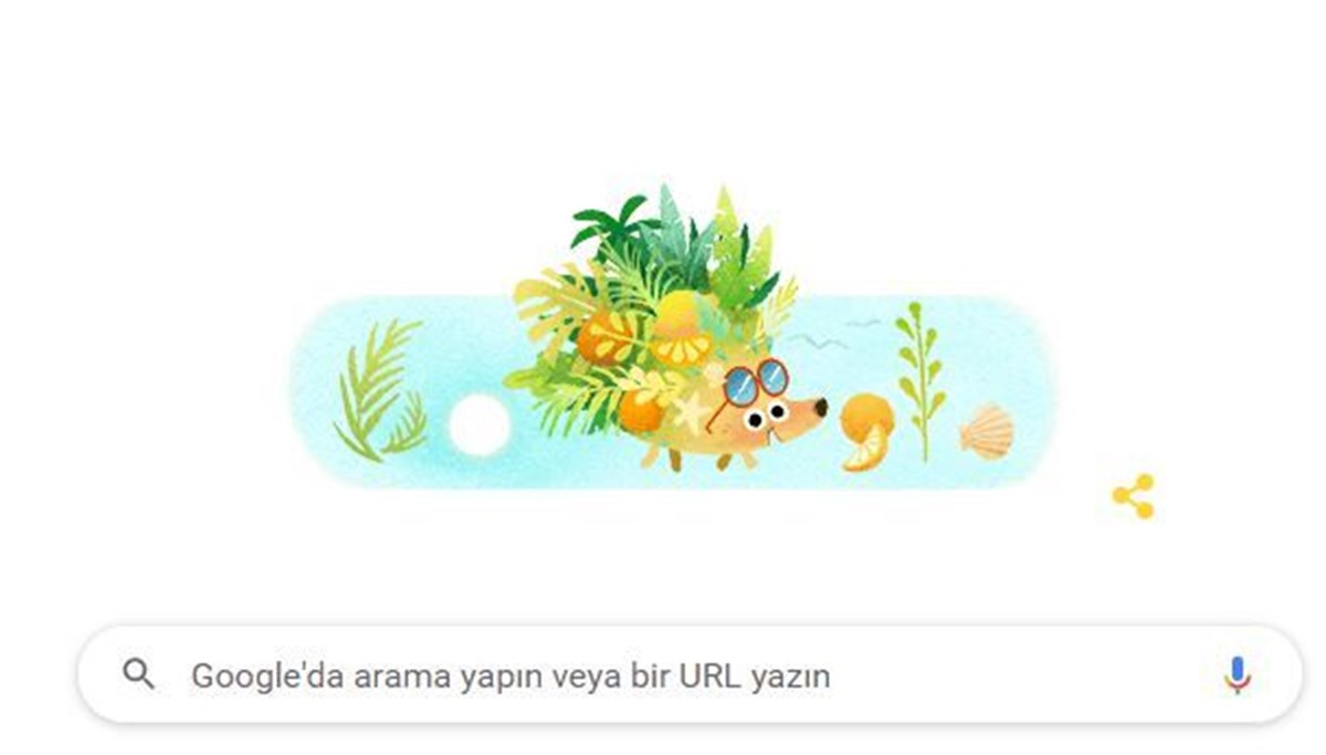 Google'dan yaz gündönümüne özel doodle
