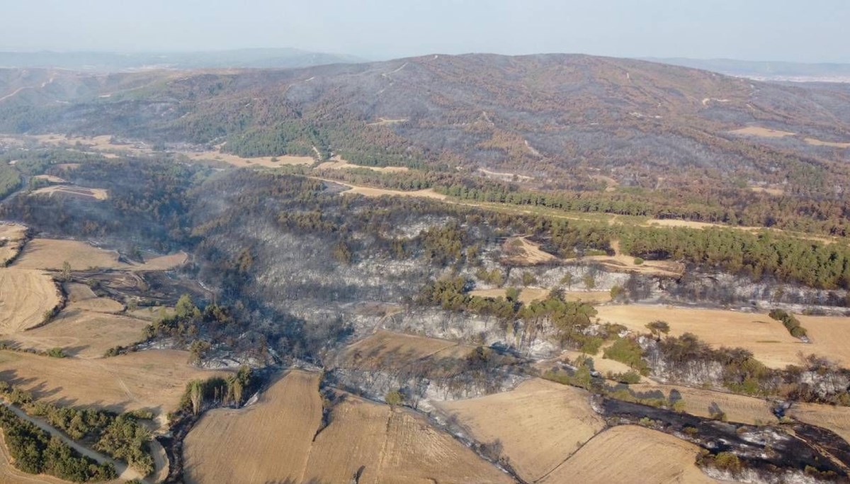 Çanakkale orman yangını kontrol altında: Yanan alanlar griye döndü Çanakkale orman yangını kontrol altında: Yanan alanlar griye döndü