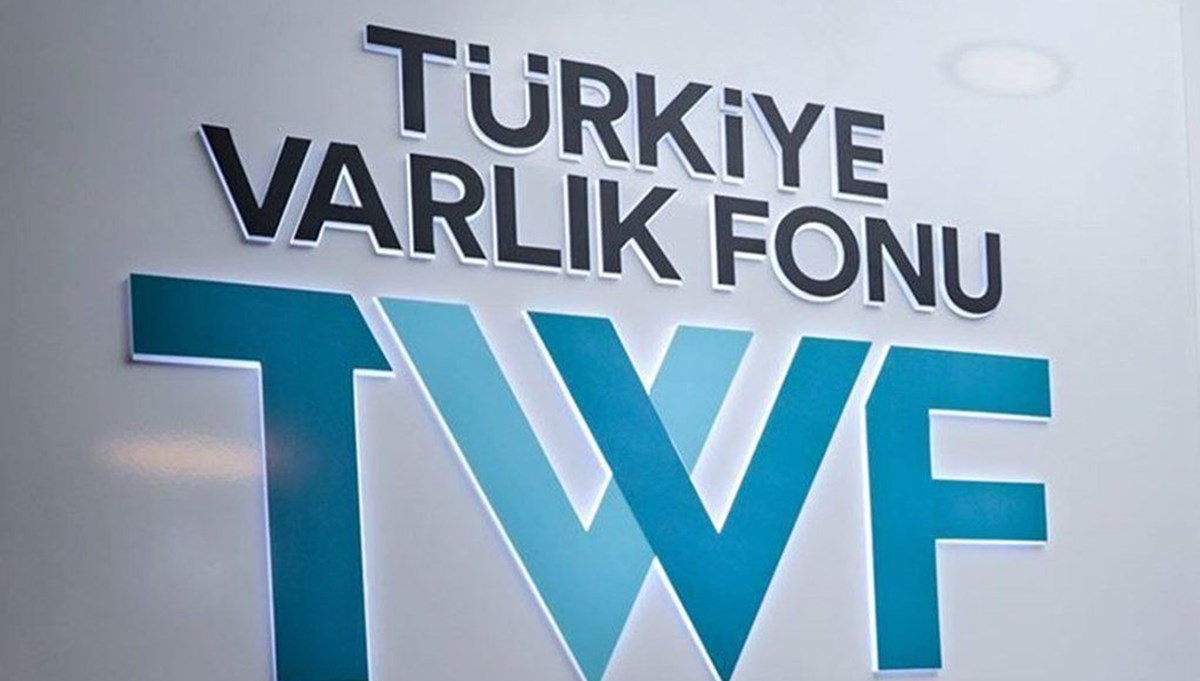 Türkiye Varlık Fonu'ndan bankalara sermaye desteği