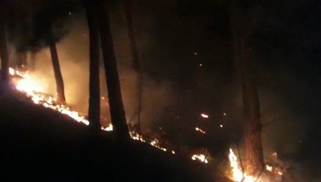 Forest fire in İzmir spread to Balıkesir