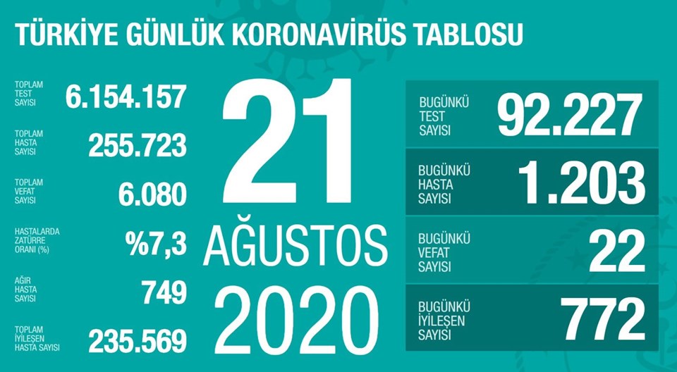 Türkiye'de corona virüsten son 24 saatte 22 can kaybı, bin 203 yeni vaka - 1