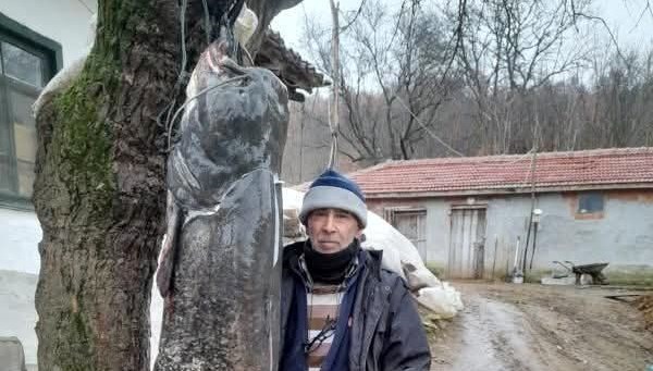 İki buçuk metre boyunda yayın balığı yakaladı