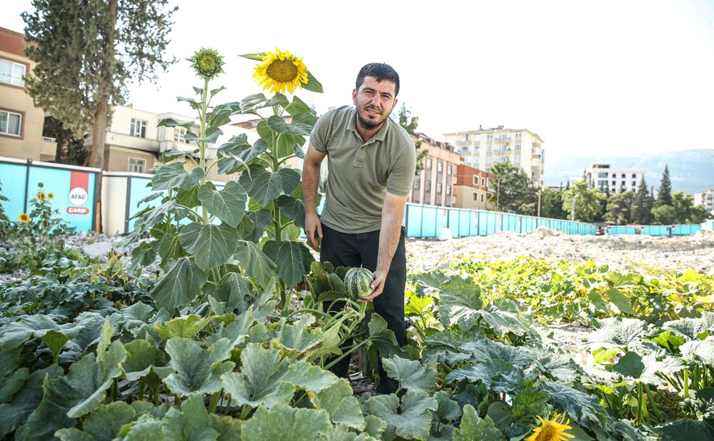 Depremin merkez üssünde molozların arasında ürünler filizlenmeye başladı - 4