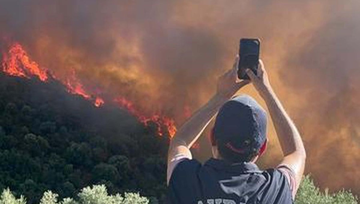 Aydın'da orman yangını: Kontrol altına alındı