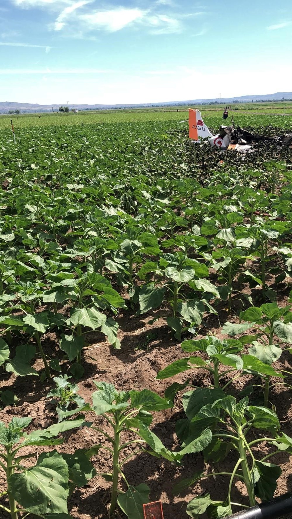 Kayseri'de eğitim uçağı düştü | MSB: İki pilot şehit oldu - 9