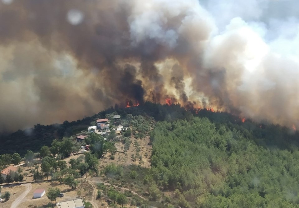 Bodrum Ve Milas Ta Orman Yanginlari Kontrol Altina Alindi Ntv