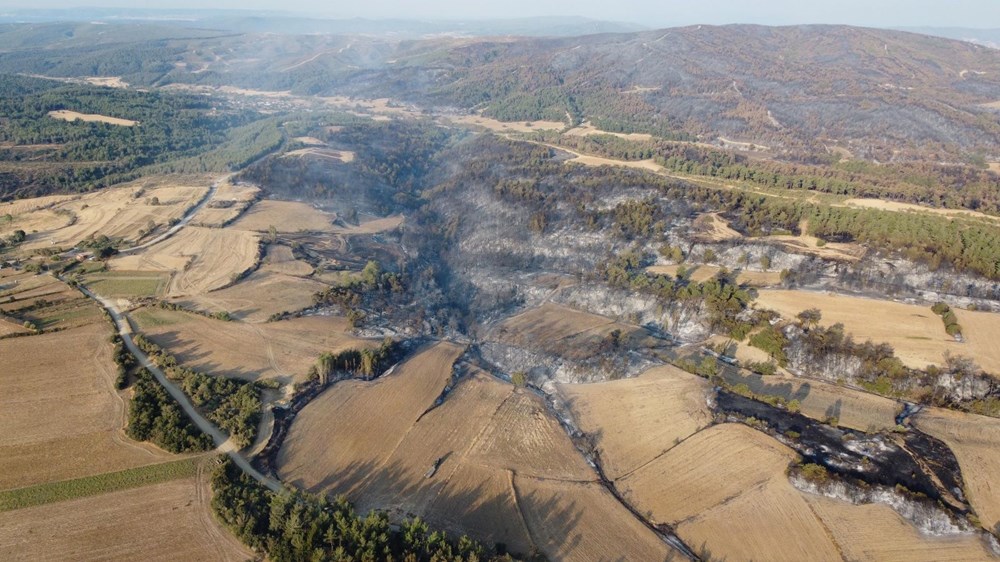 Çanakkale orman yangını kontrol altında: Yanan alanlar griye döndü - 5