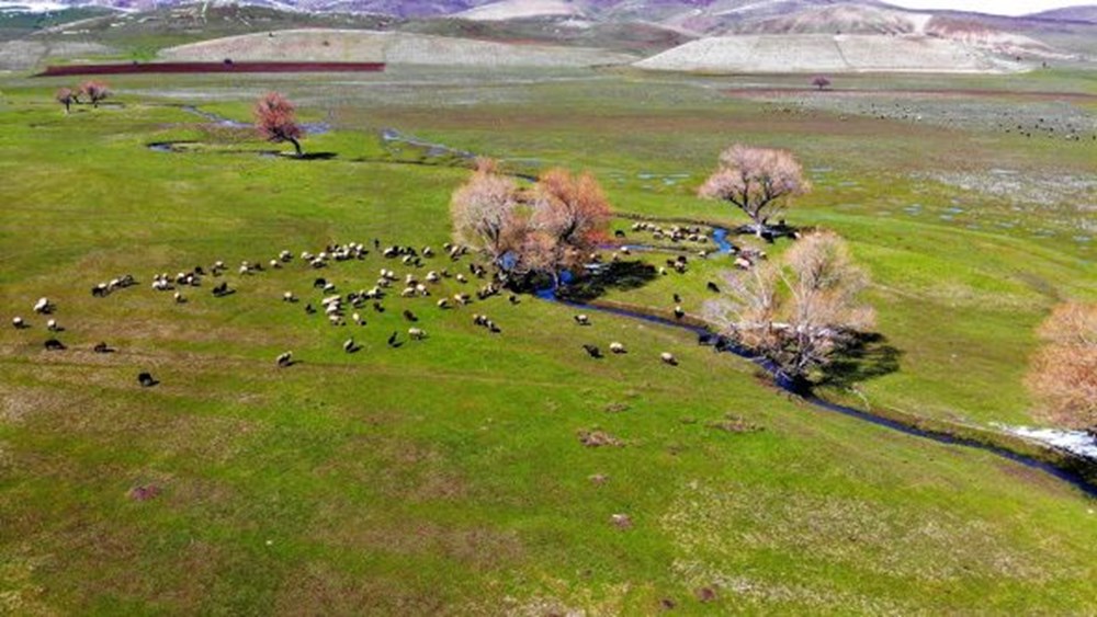 Two seasons together in Muş - 4