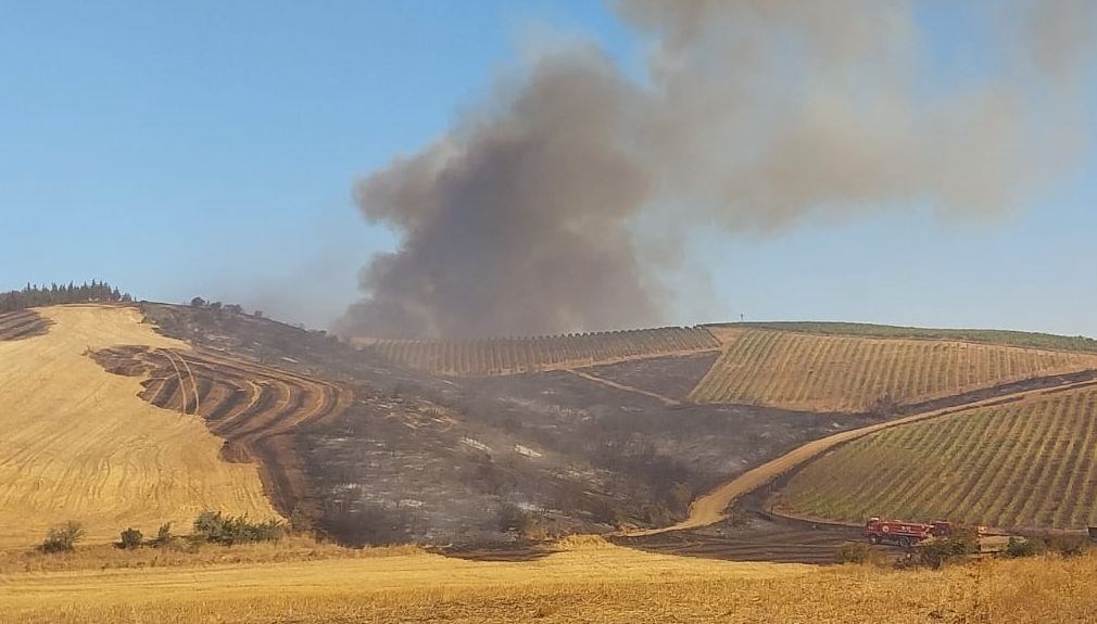 Gelibolu'da tarım arazisi yandı