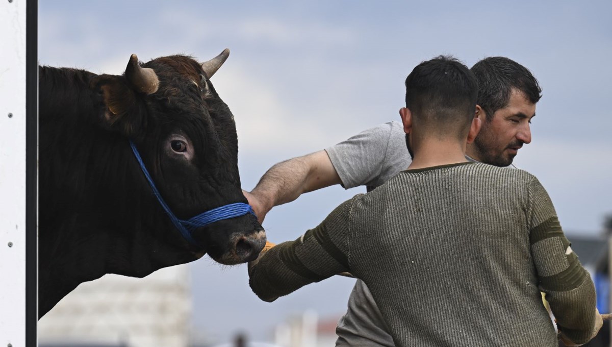 Hayvan pazarlarına kurbanlar getirilmeye başlandı