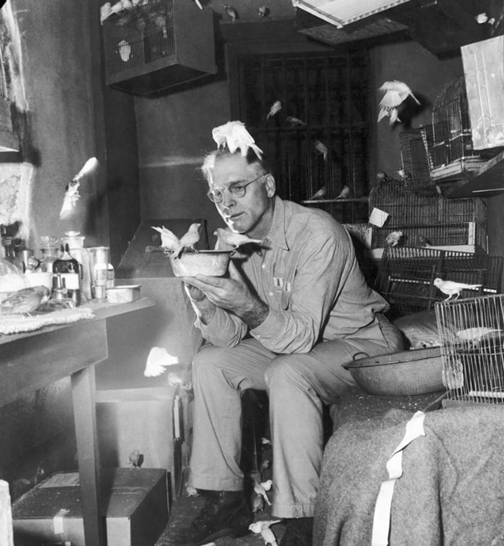 Gerçekliği tartışma konusu olan biyografik filmler - 16