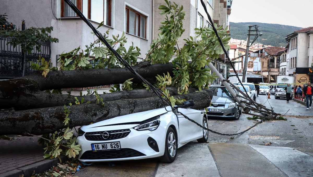 Bursa’da lodos etkili oldu (Elektrik direği ve ağaç araçların üzerine devrildi)