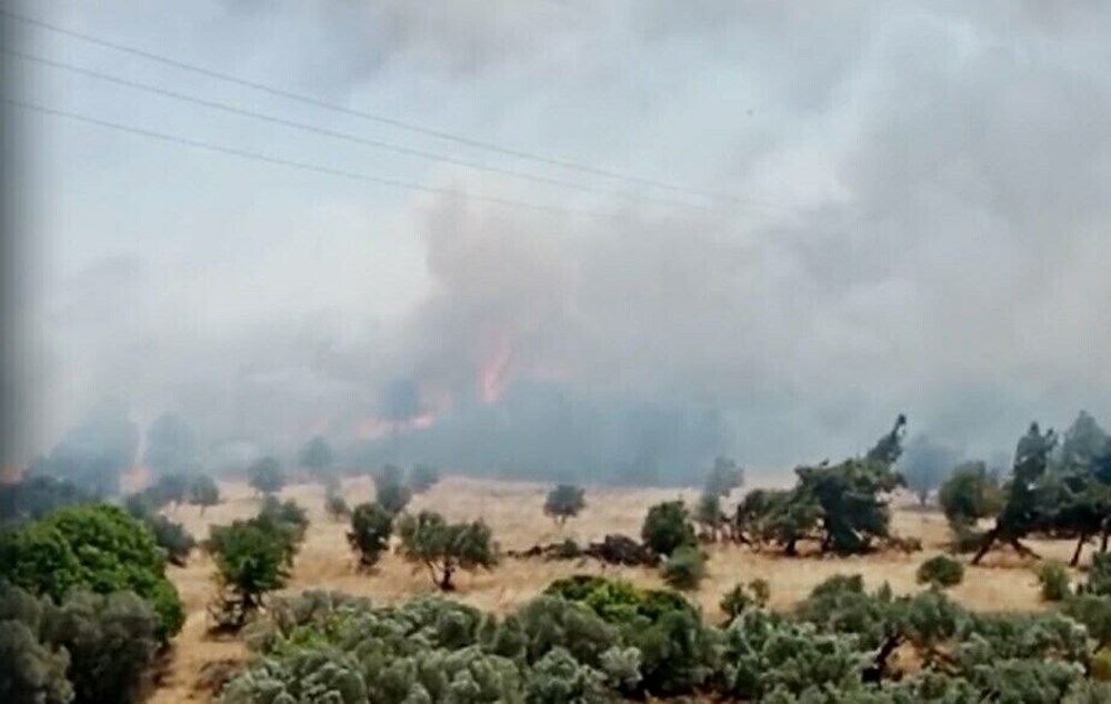 İzmir'de orman yangını: Müdahale sürüyor - 8