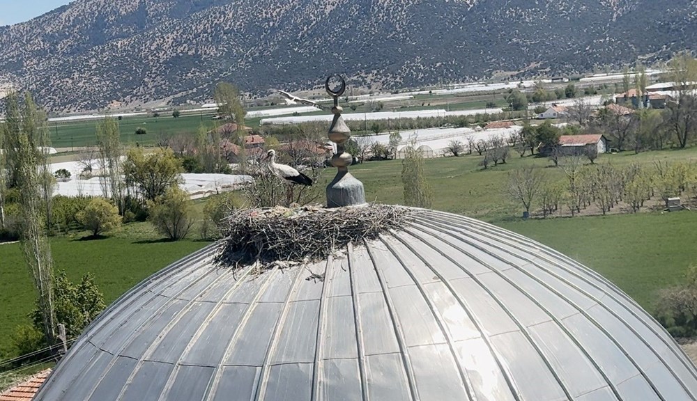 C2bYLeUGJESXNmIGrMYvig