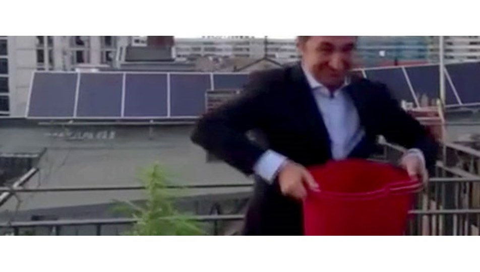 Cem Özdemir’in videosunda kenevir göründü
