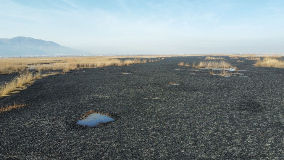 Eber Gölü'nde sazlık alanda yangın: 40 futbol sahası büyüklüğündeki alan yandı - 1