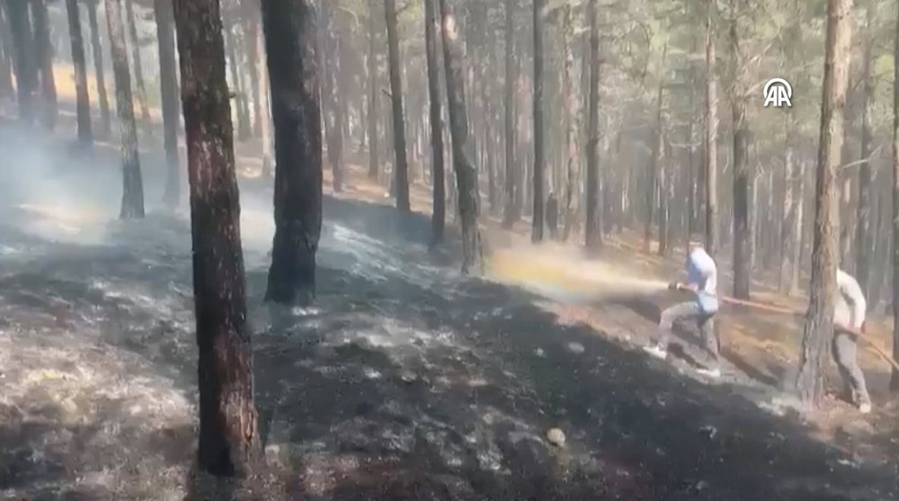 İzmir, Muğla, Balıkesir ve Kahramanmaraş’ta orman yangınları - 19