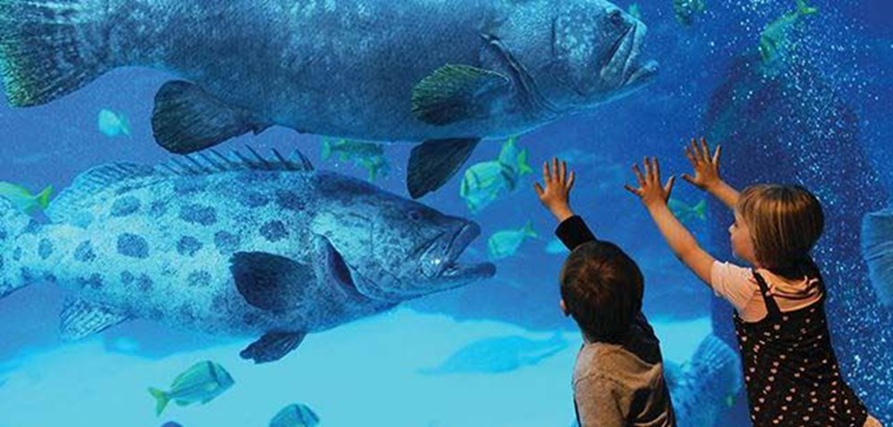 İstanbul sömestr yapılacak şeyler, istanbul'da sömestr, sömestr'da gezilecek yerler