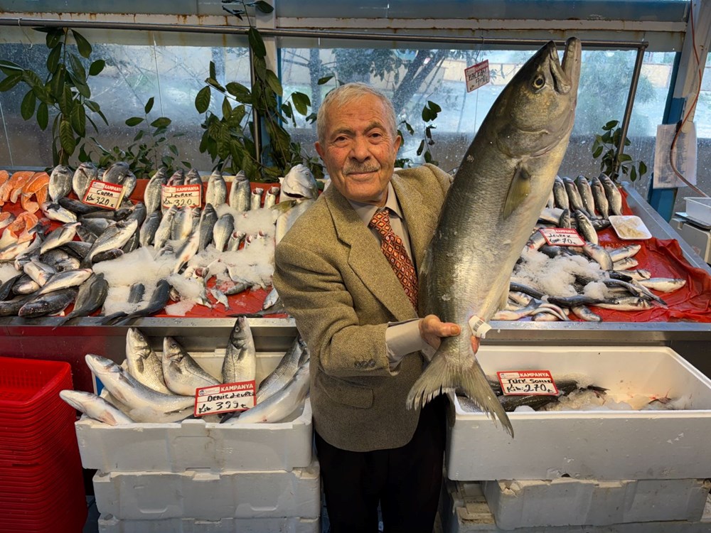 Ramazan Bereketi Tezgahlara Yansıdı: Balık Fiyatları Dip Seviyede 74 C6vJqphGuESeIm8HXitTVA