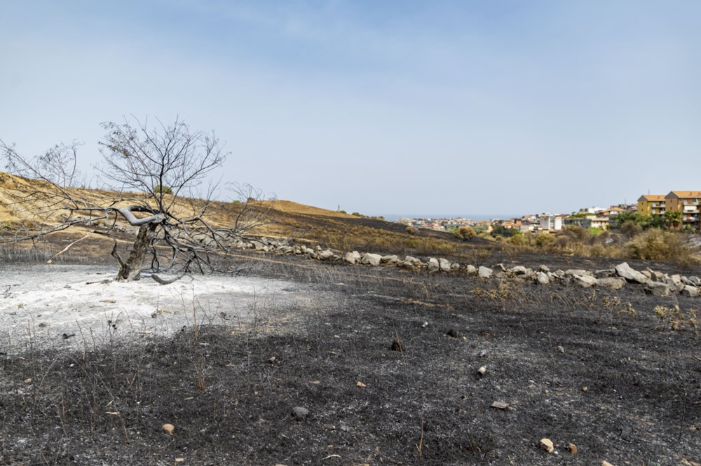 Akdeniz alev aldı: Yunanistan ve İtalya’da orman yangınları sürüyor - 14
