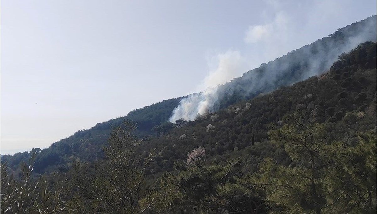 Samsun'da yıldırım isabet etmesi sonucu ağaçlık alanda yangın çıktı Samsun'da yıldırım isabet etmesi sonucu ağaçlık alanda yangın çıktı